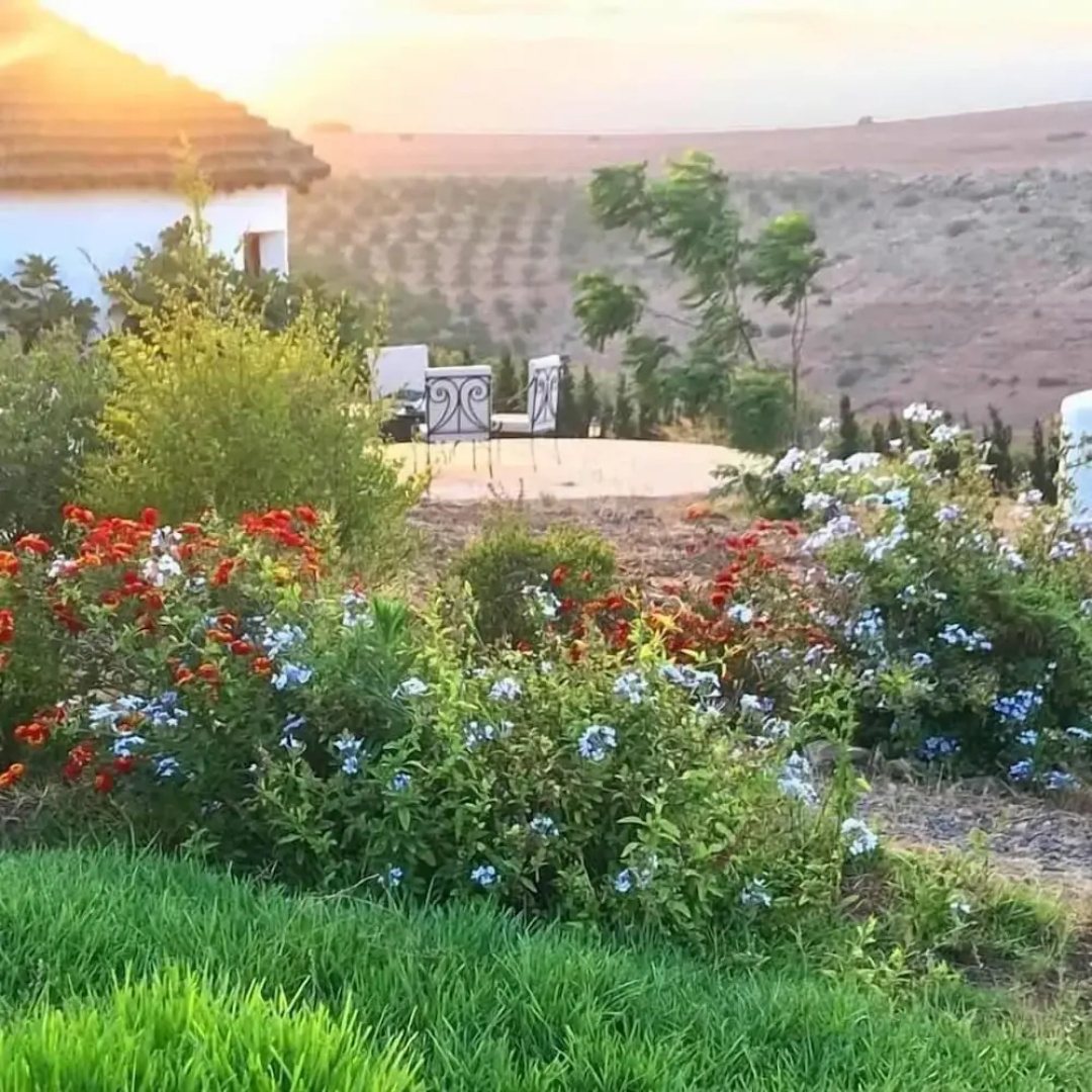 Safa Boulaouane Eco-Lodge