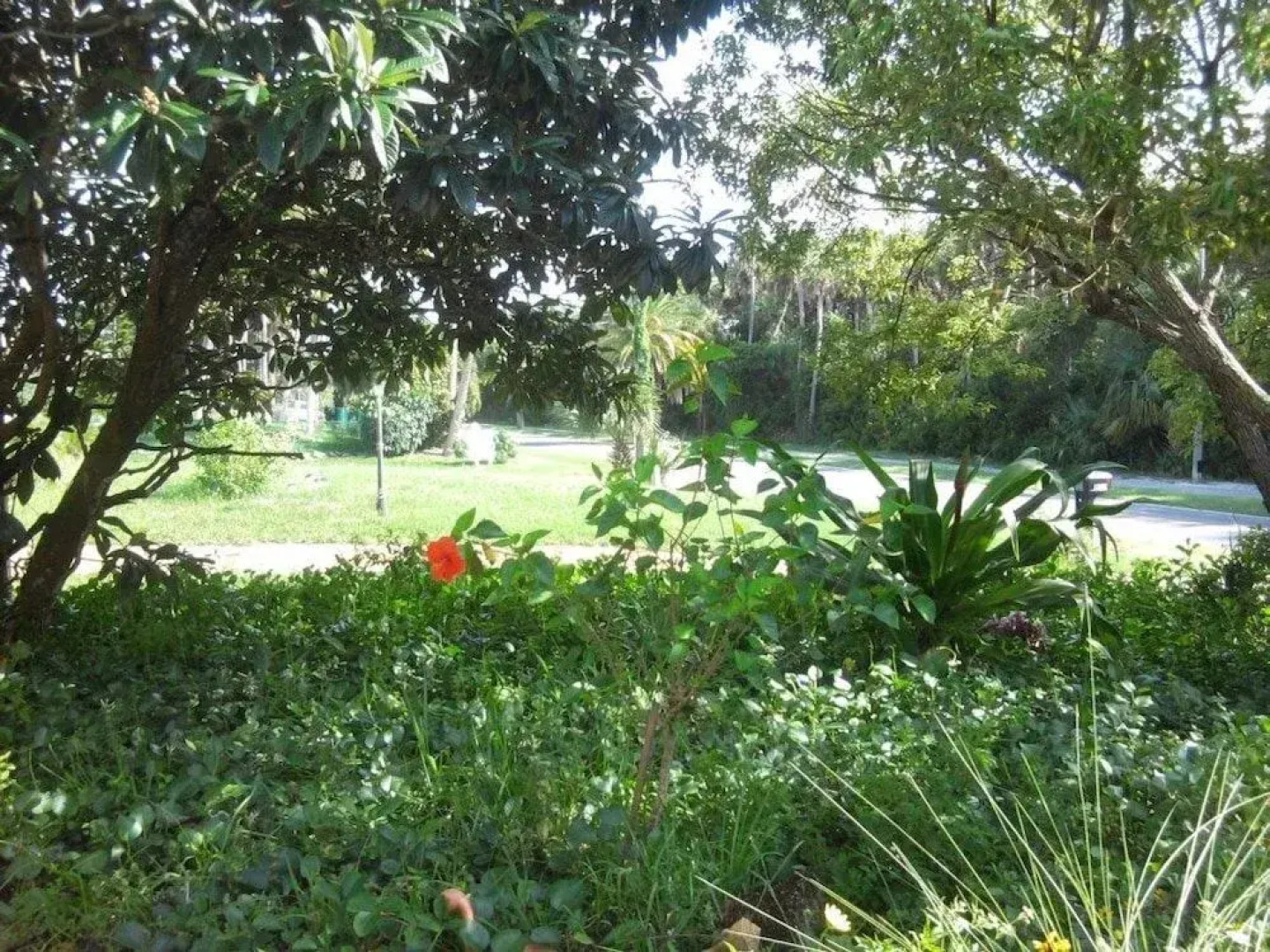 Beachside Charmer 2107