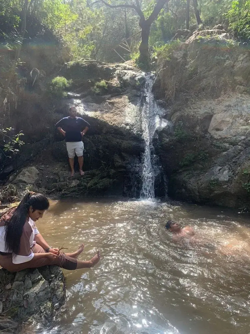 Pine Trails Jungle Camp