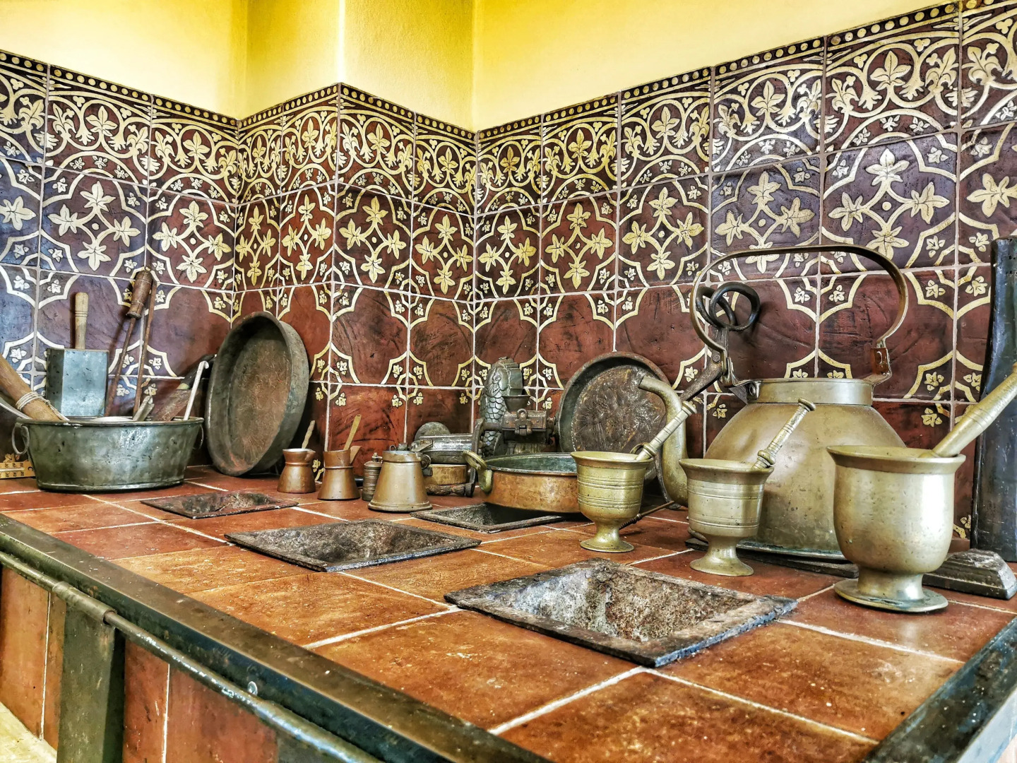 Cotommatae Hydra 1810