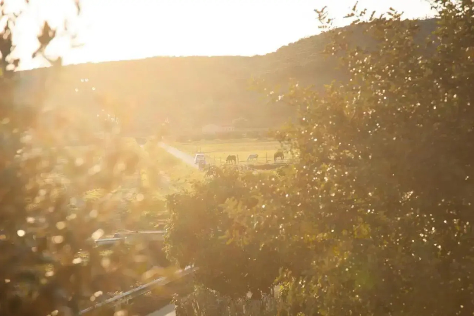 Casa Santa Margherita Bis