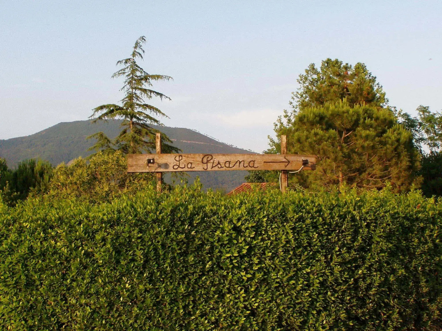 Agriturismo La Pisana