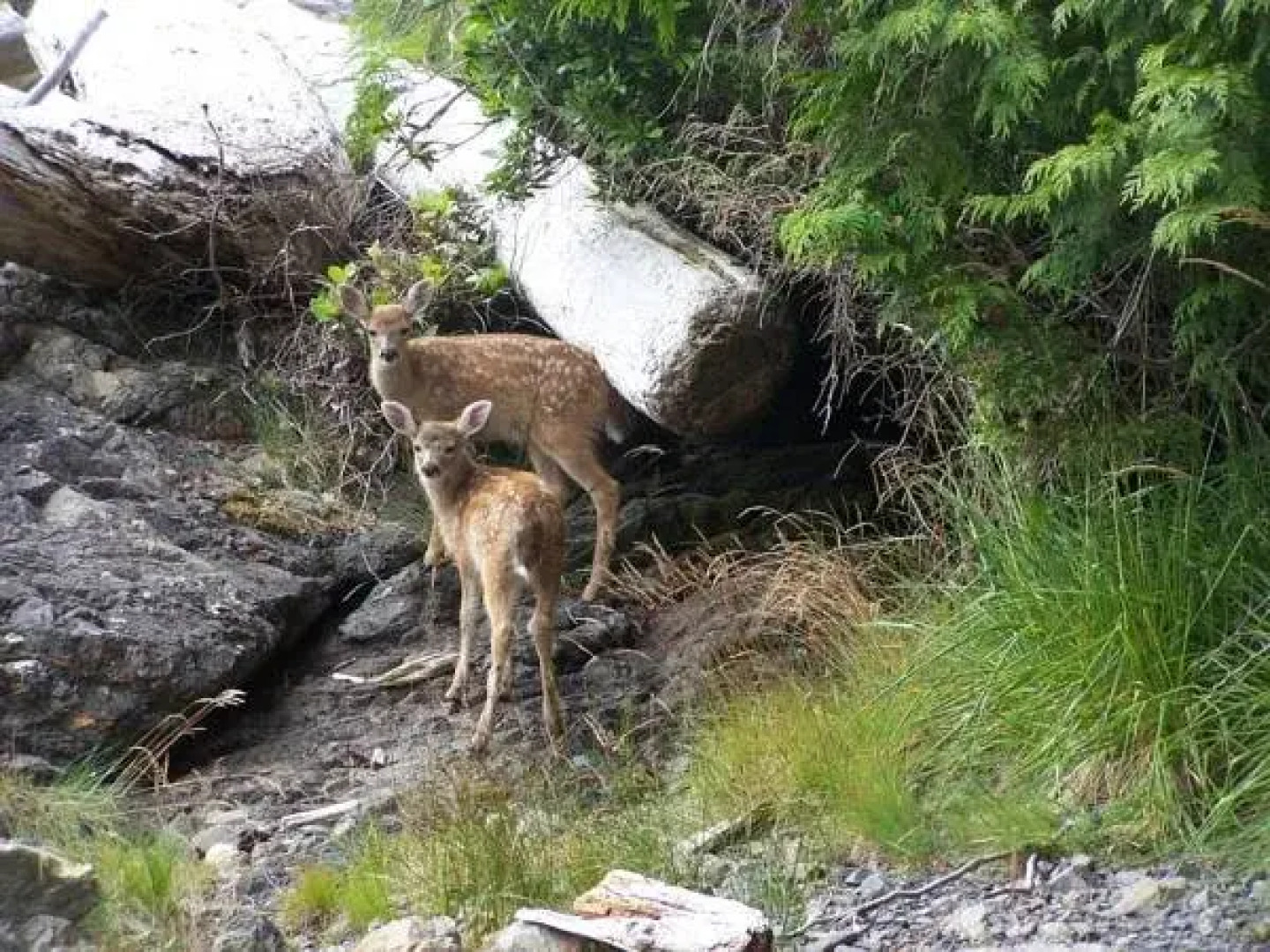 Wild Shores Guest House