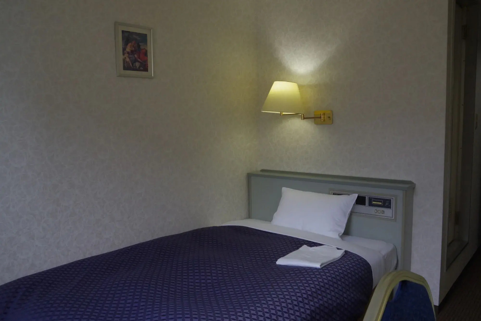 Seagrande Shimizu Station Hotel