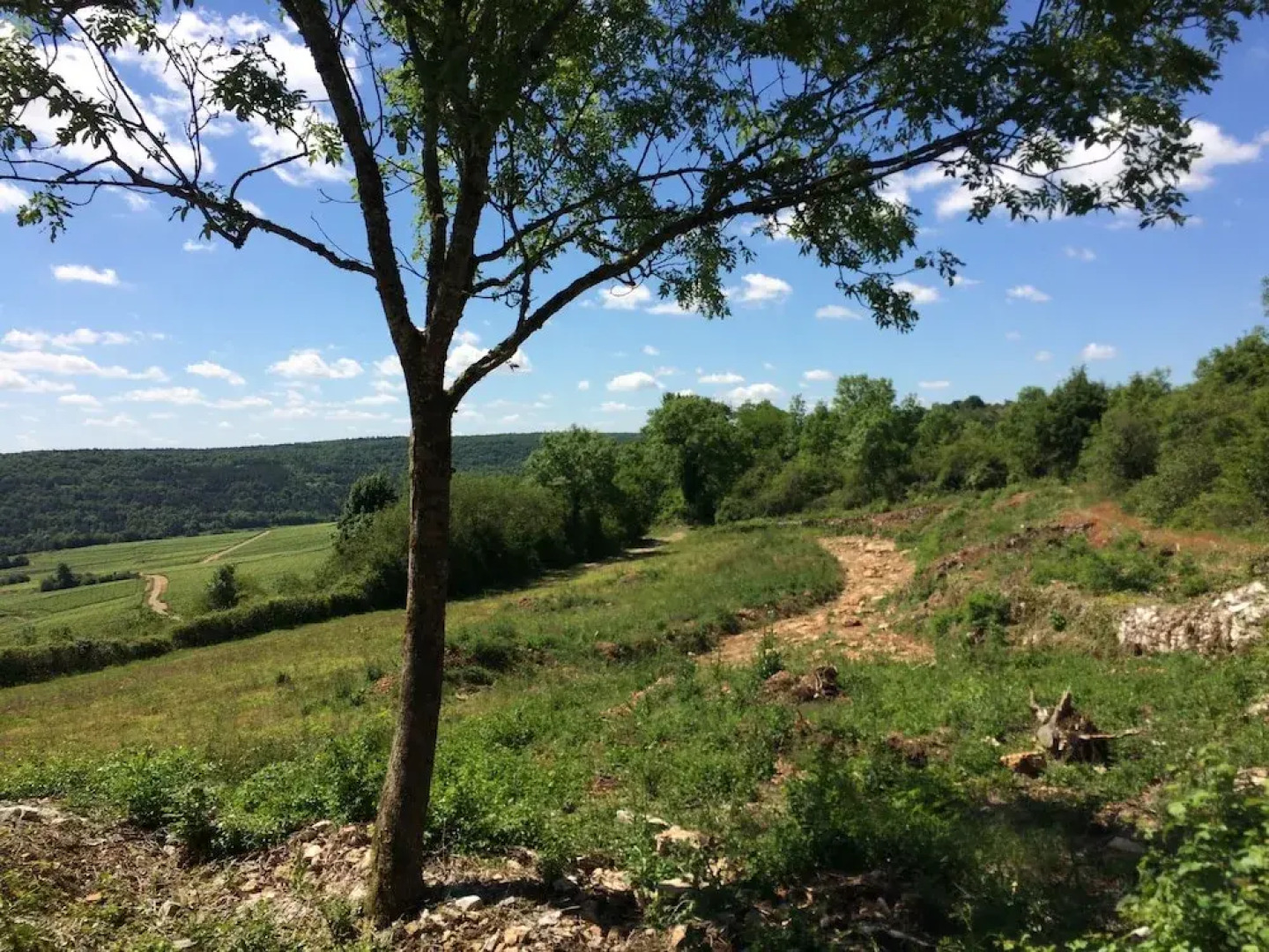 Les Demeures du Tonnelier ''La Maison Pini''