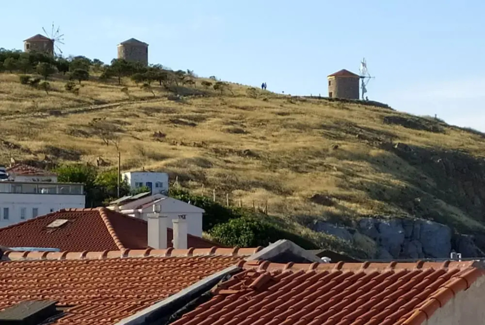 Dionysos Otel & Restoran & Ada Kahvaltı