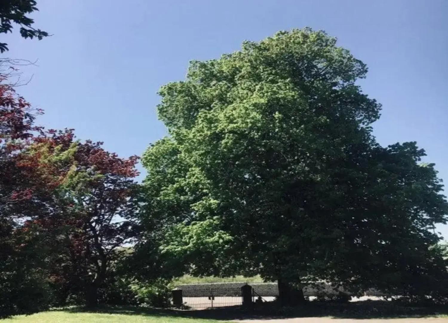 A Cosy Vintage Loft to Discover, Ideal for Exploring the Region by Bike