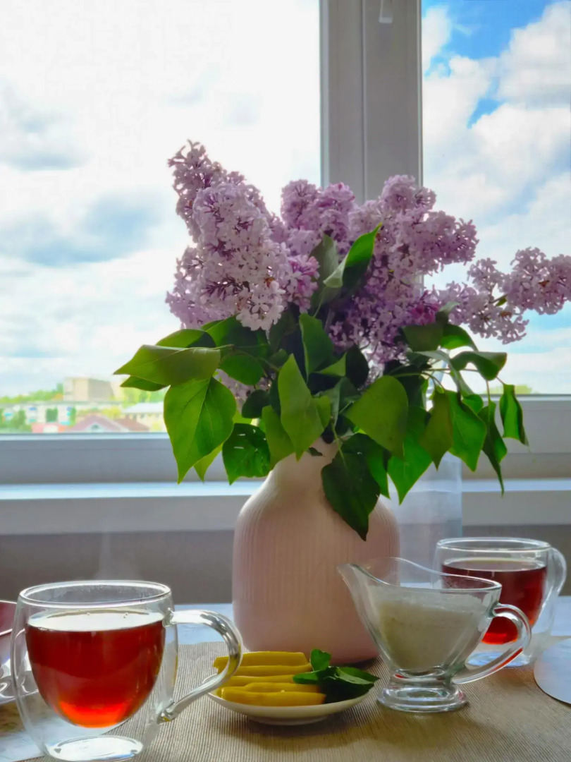 Niki Rent на улице Трнавская 4