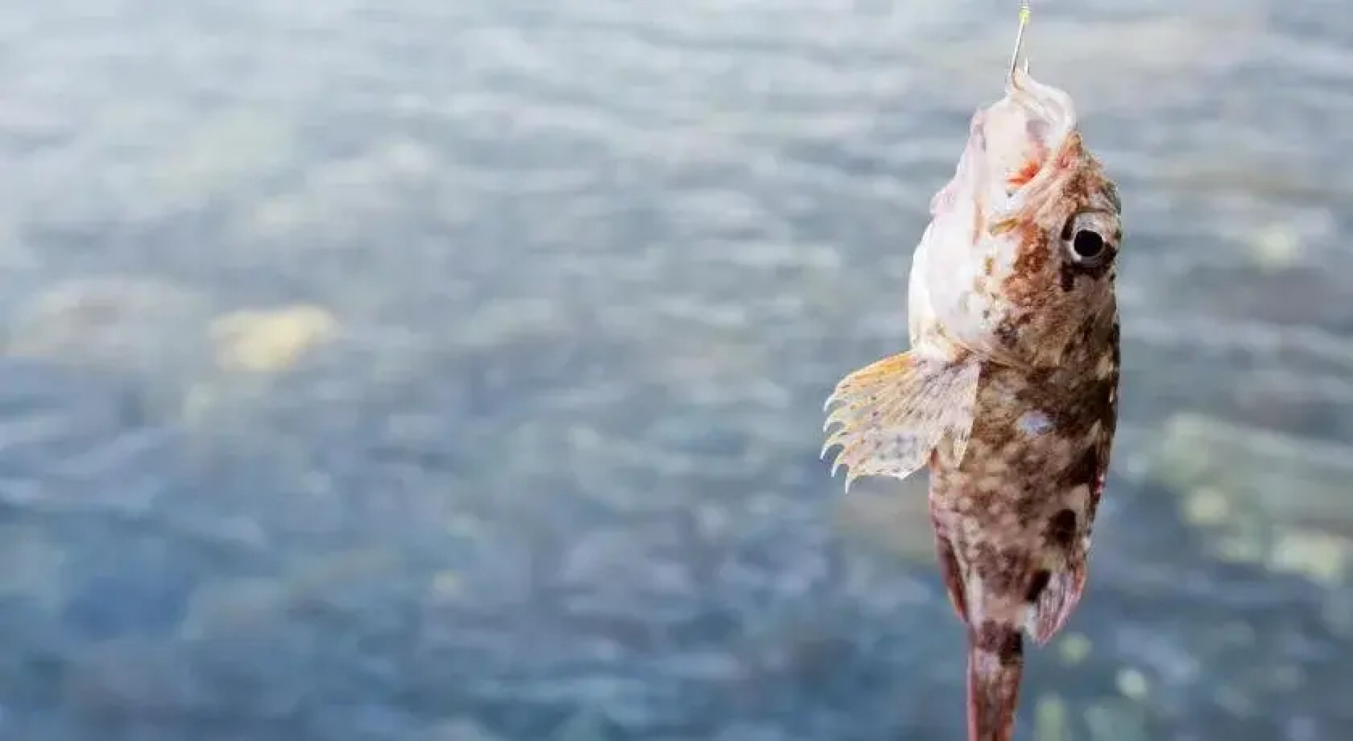 Ryokan Ryoshino Sato