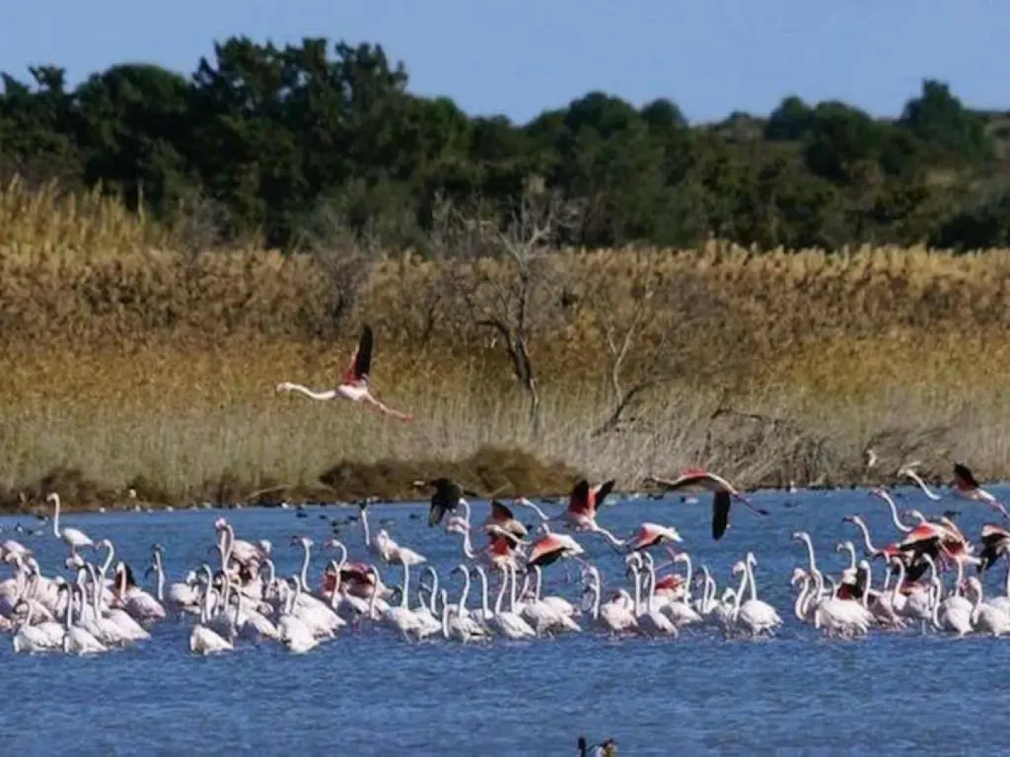 Casa Vacanze A Pennichella