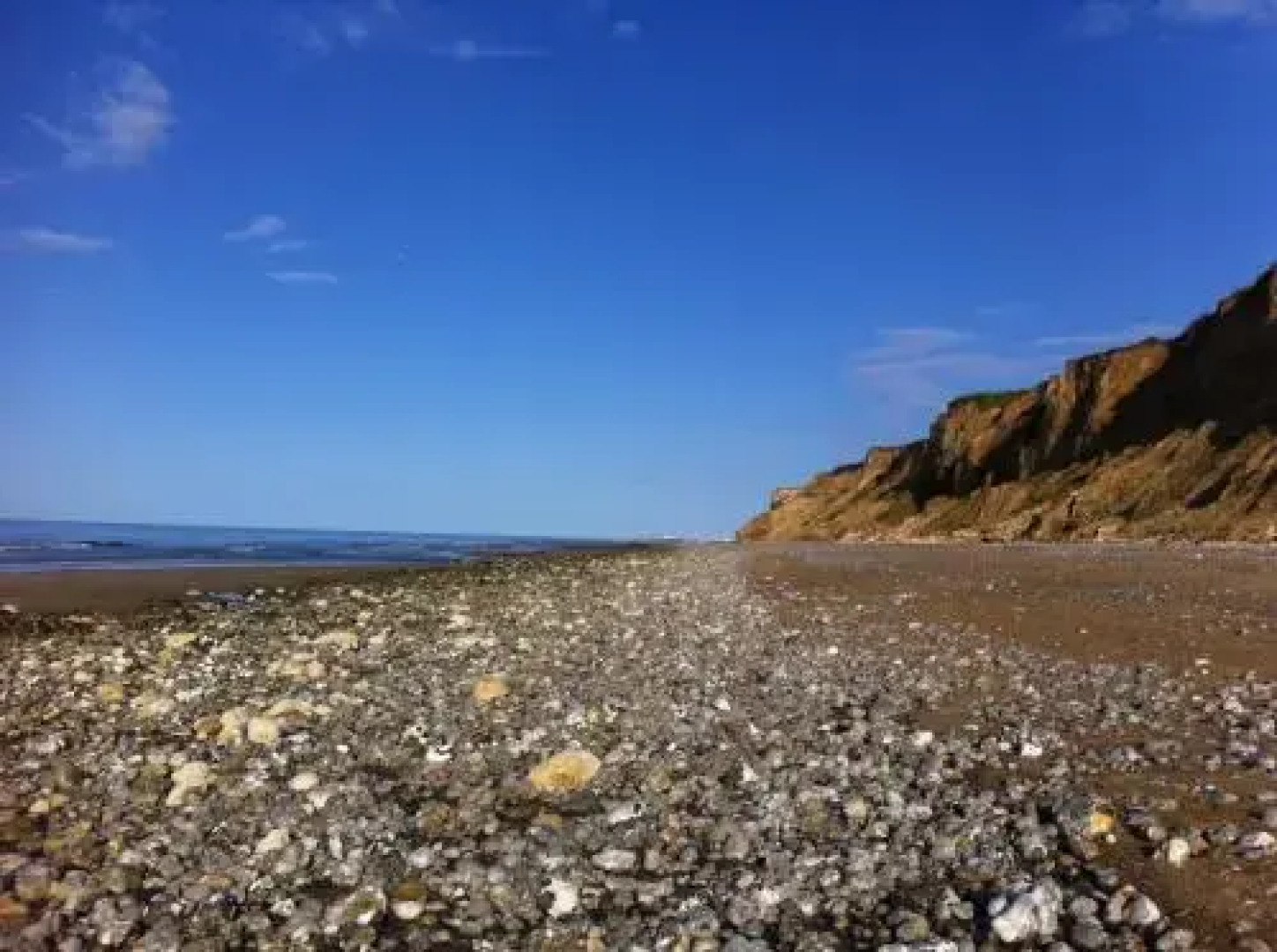 Tyto Alba Bed & Breakfast