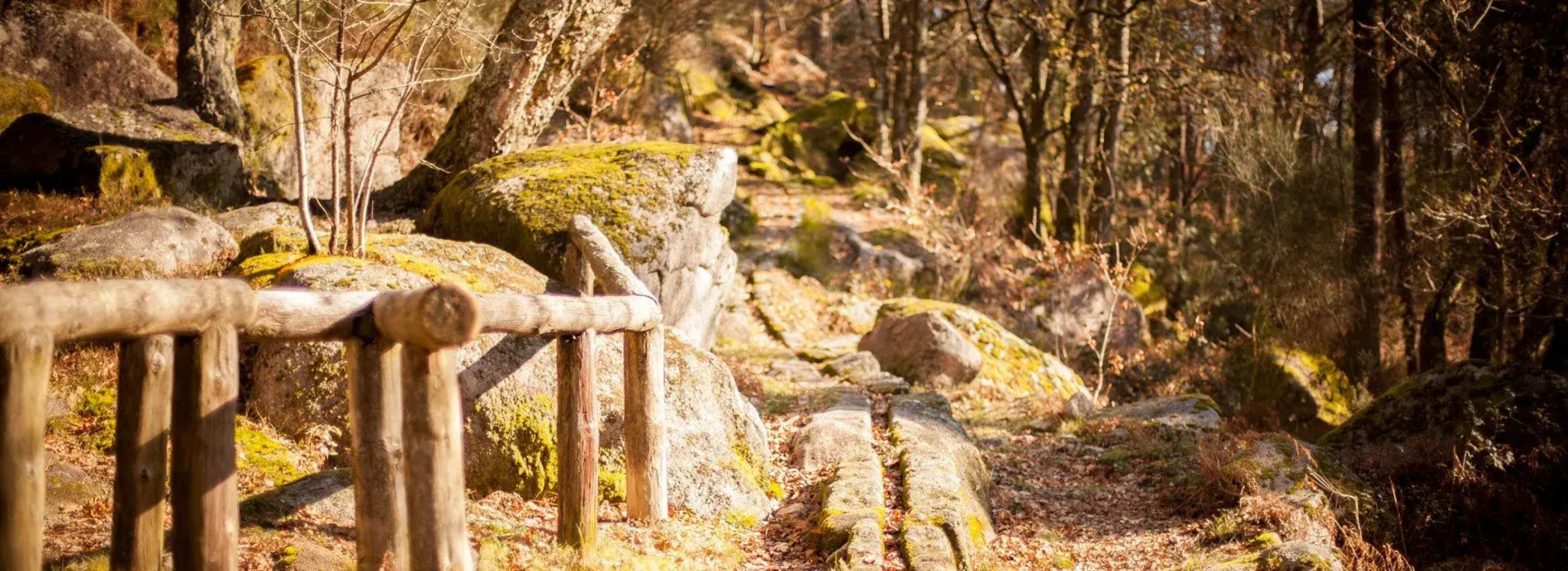 Aloia Nature Alojamiento Forestal