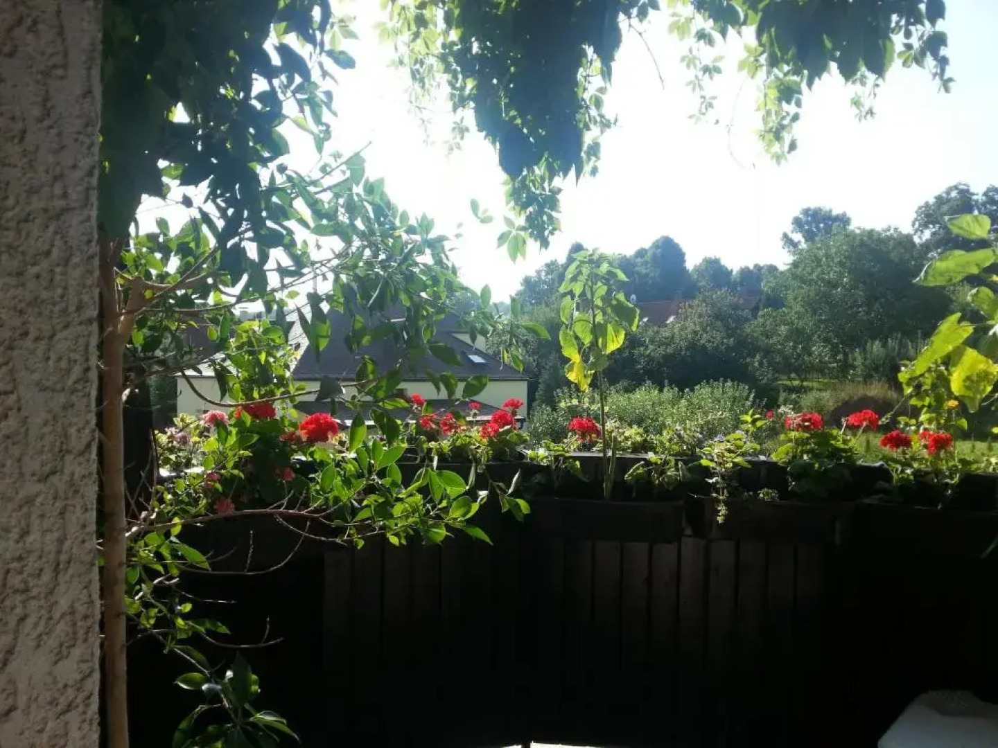 Antik Hotel Sofia Litomysl