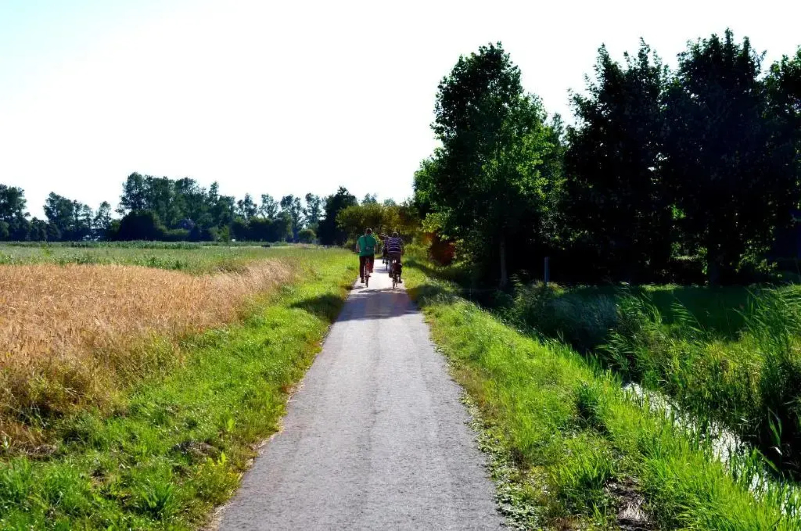 Reiterhof Gründeich