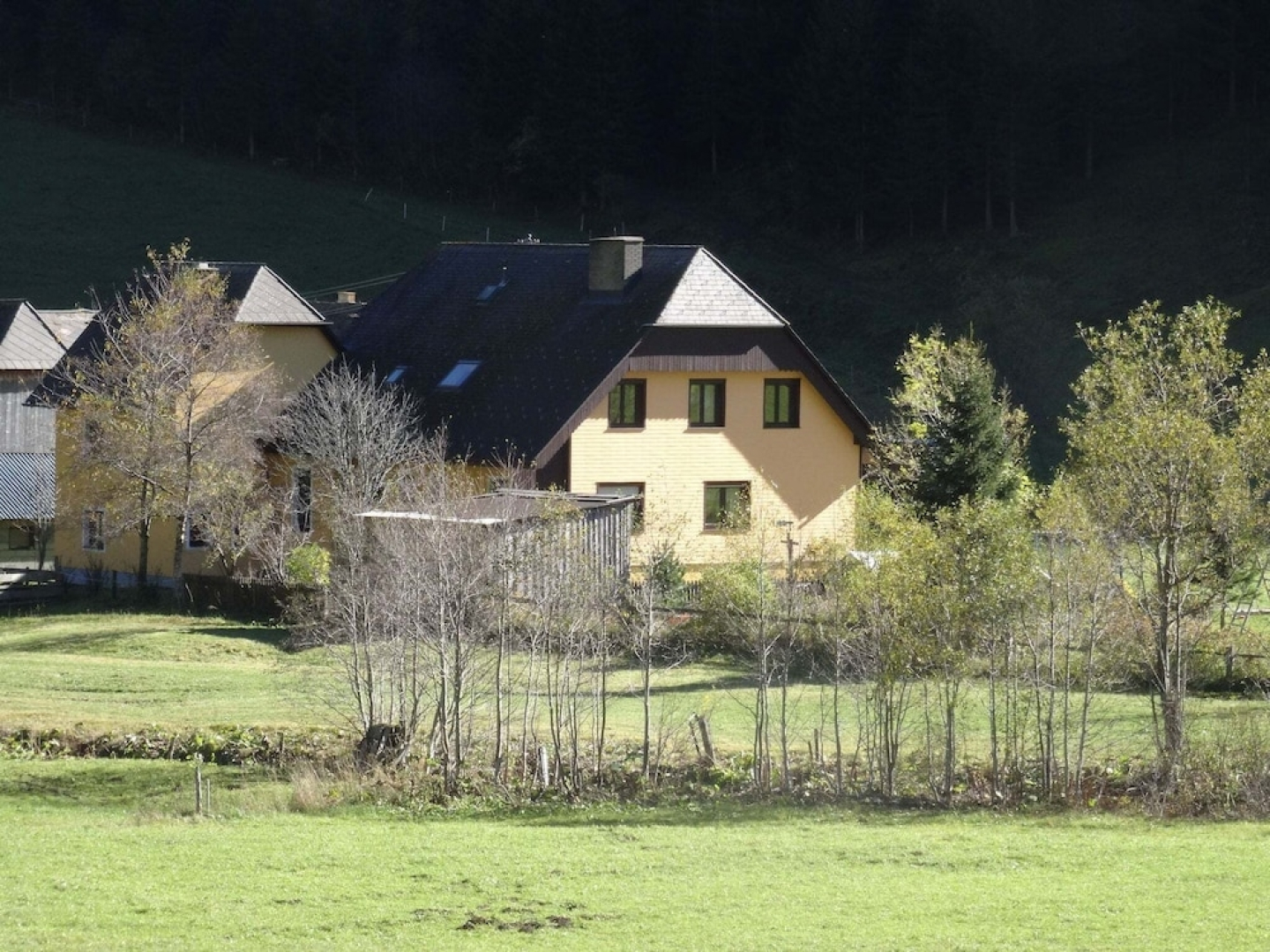 Serene Apartment in Pusterwald Near the Ski Slopes