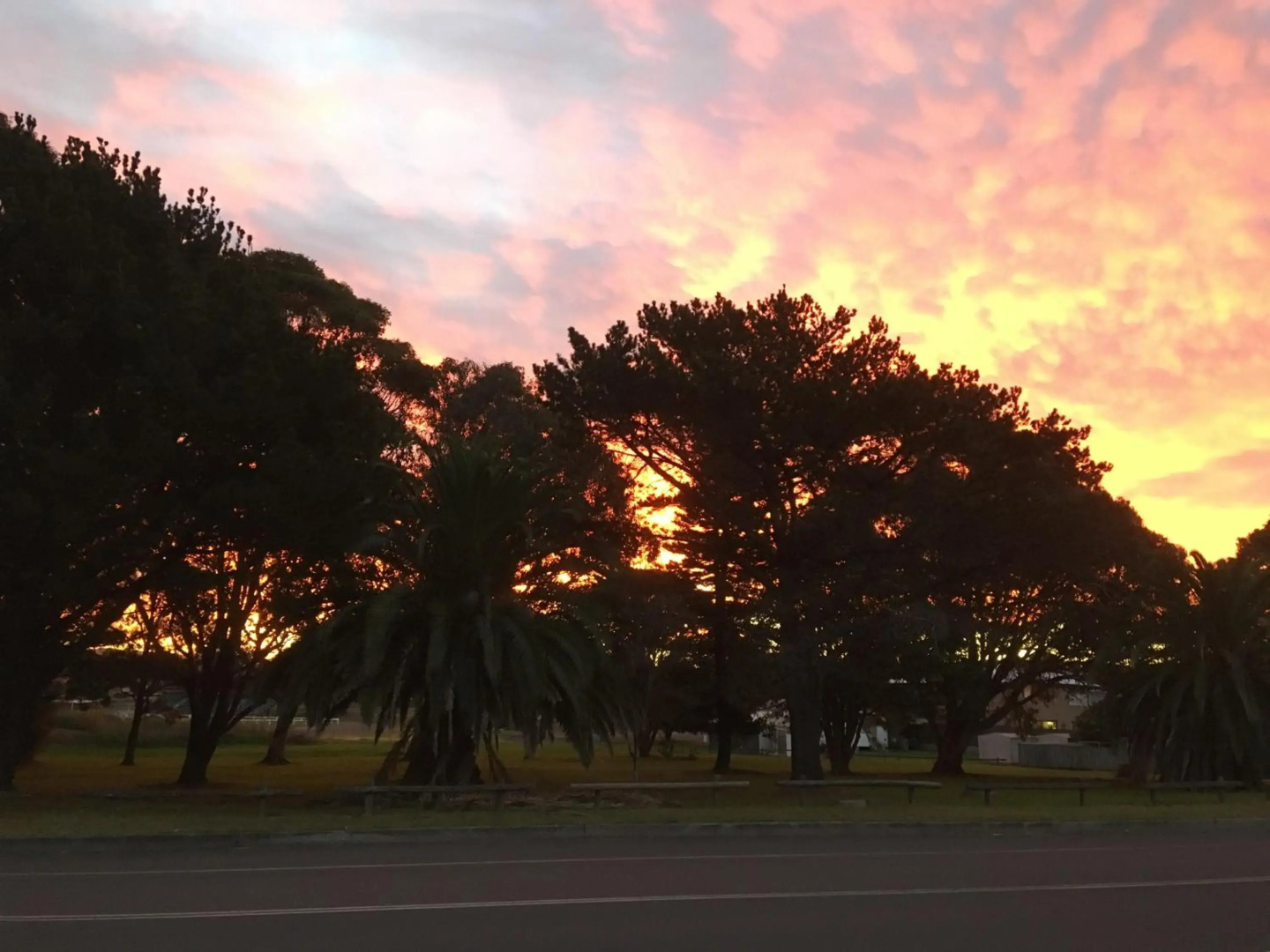 Shellharbour Beach Cottage - walk onto Patrolled beach with flags in summer