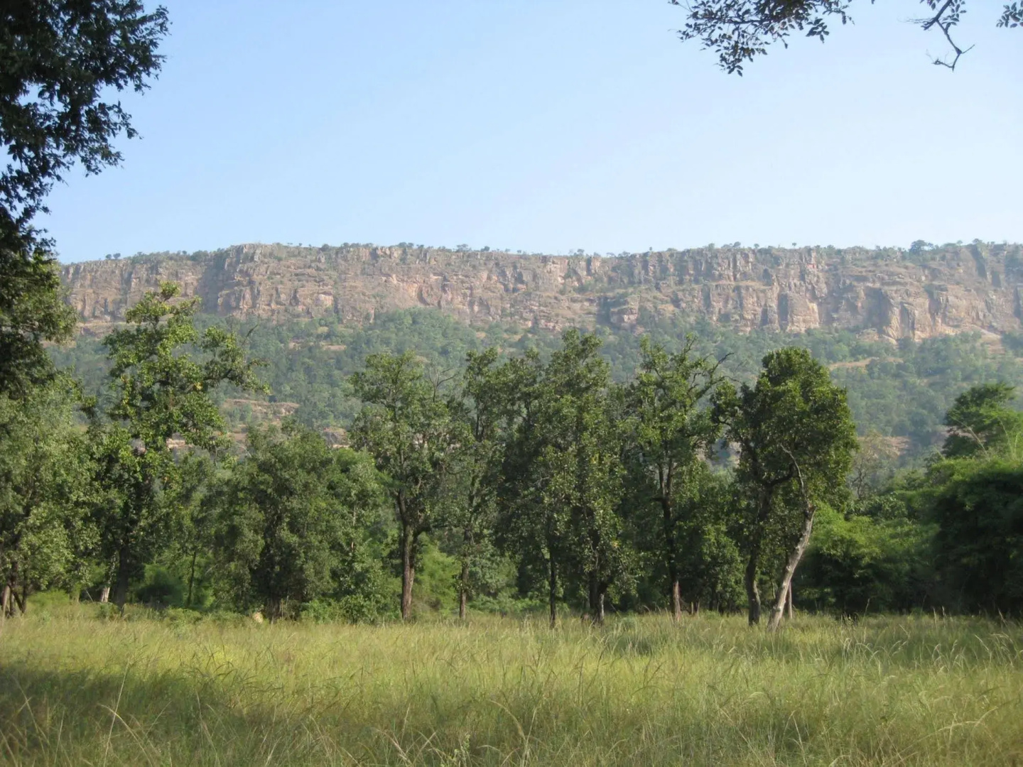 Tiger Trails Resorts