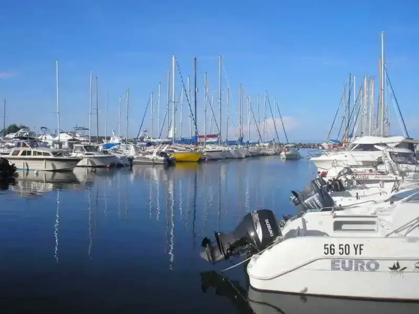 Résidence A NUCIOLA