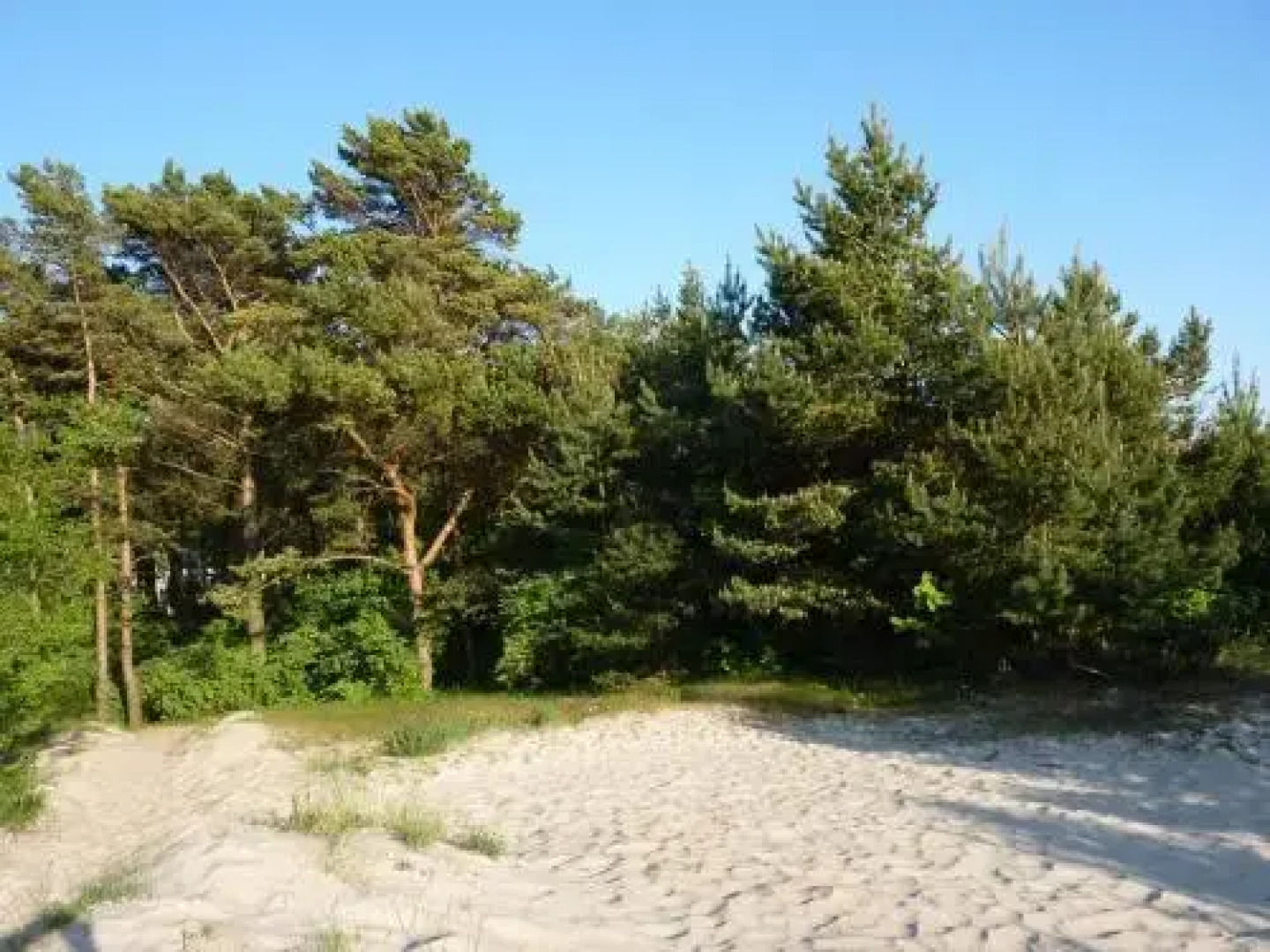 Palangos Apartamentai - Bangu