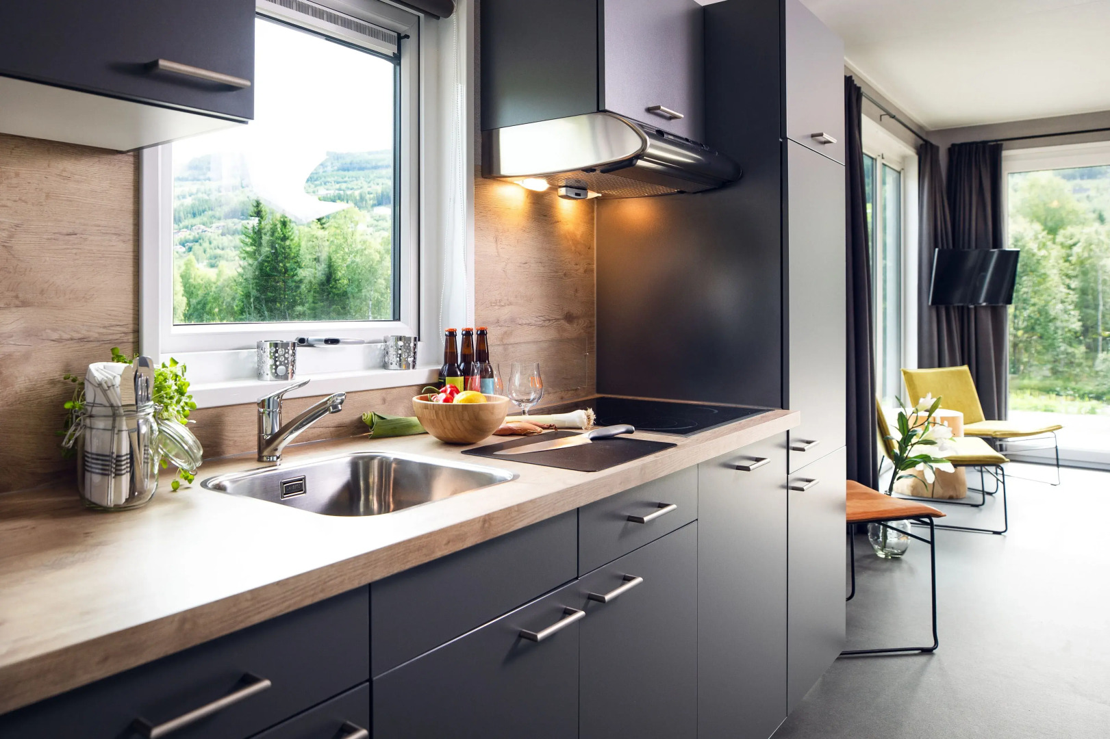 Topcamp Hallingdal - Ål