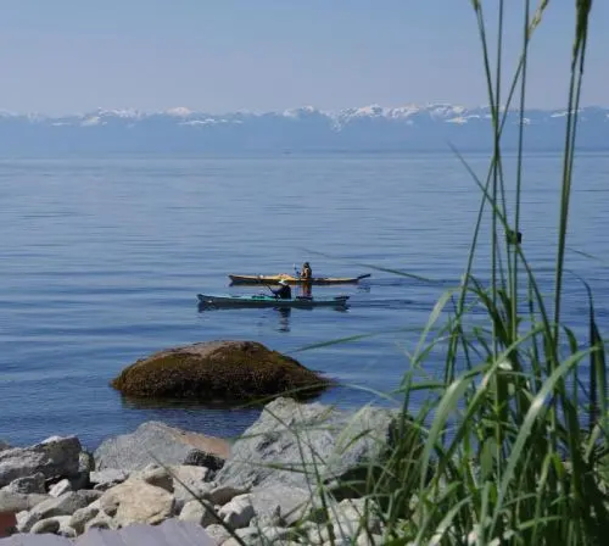 Blitz Beach House Oceanside Suite