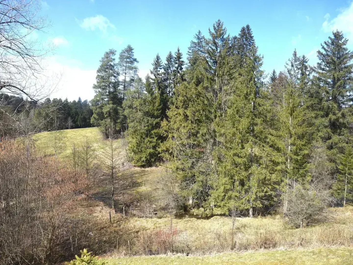 Ferienhaus im Allgau Spass und Naturaufenthalt