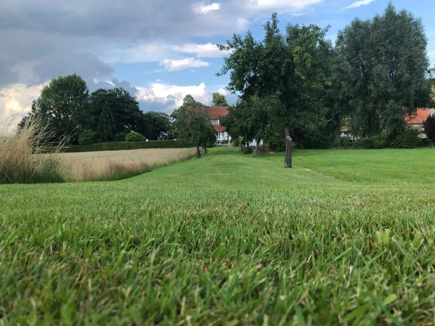 DRIEHOF LifeStyle Suite Apt 1