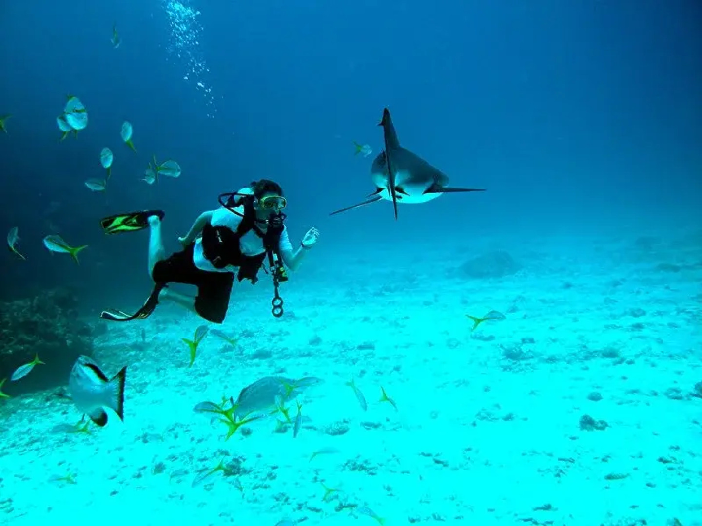Abaco Towns by the Sea