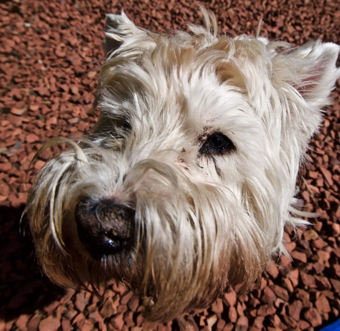 Muirholm Bed & Breakfast