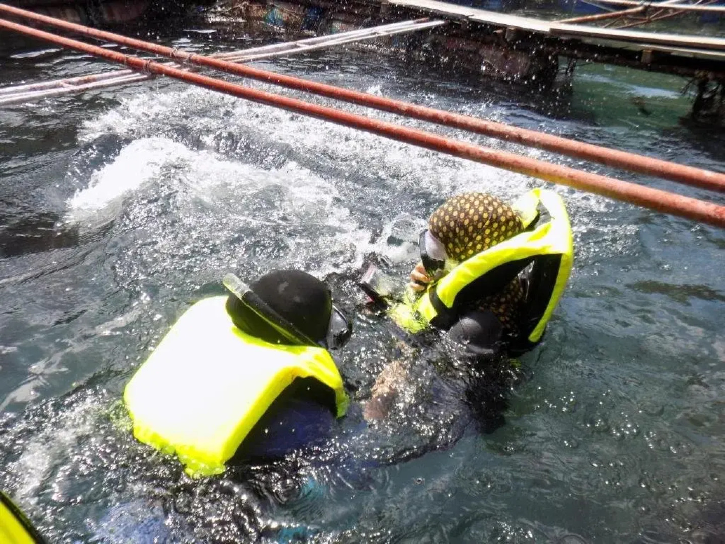 Terapung Hotel & Fish Garden