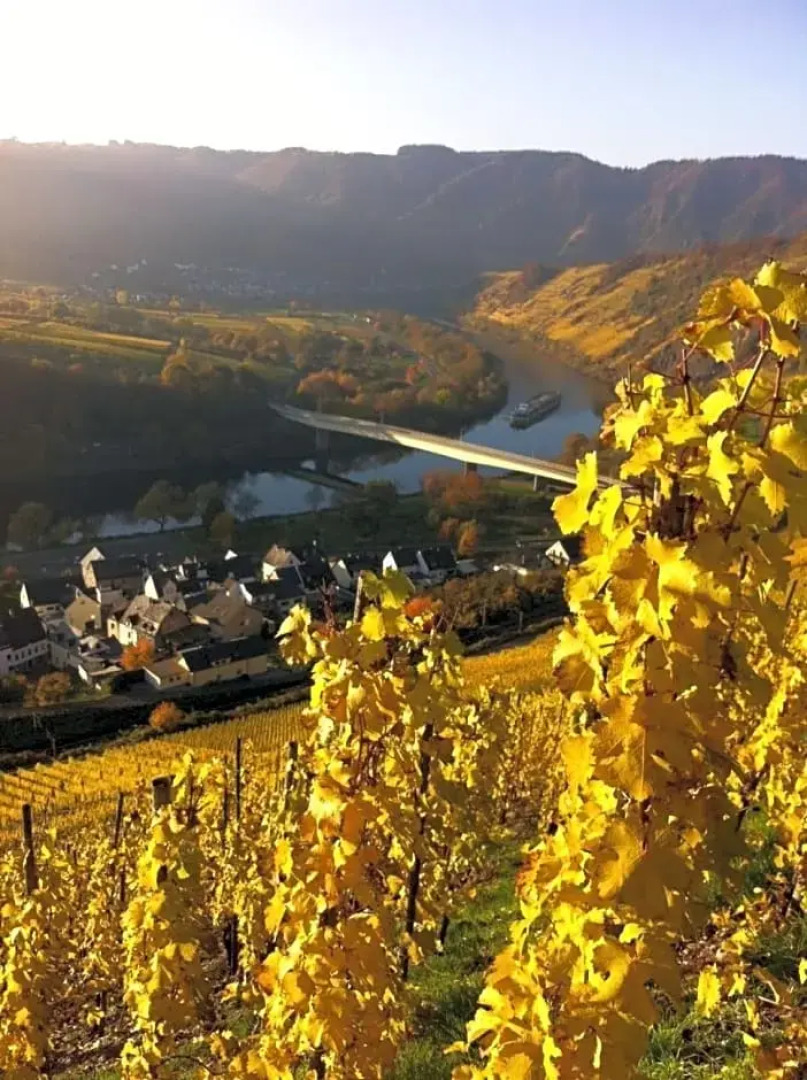 Gästezimmer im Weingut Amlinger&Sohn