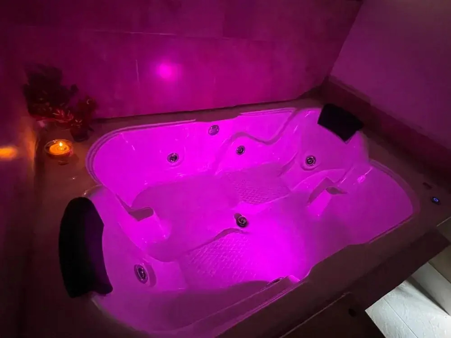 Biohostal Mindo Cloud Forest