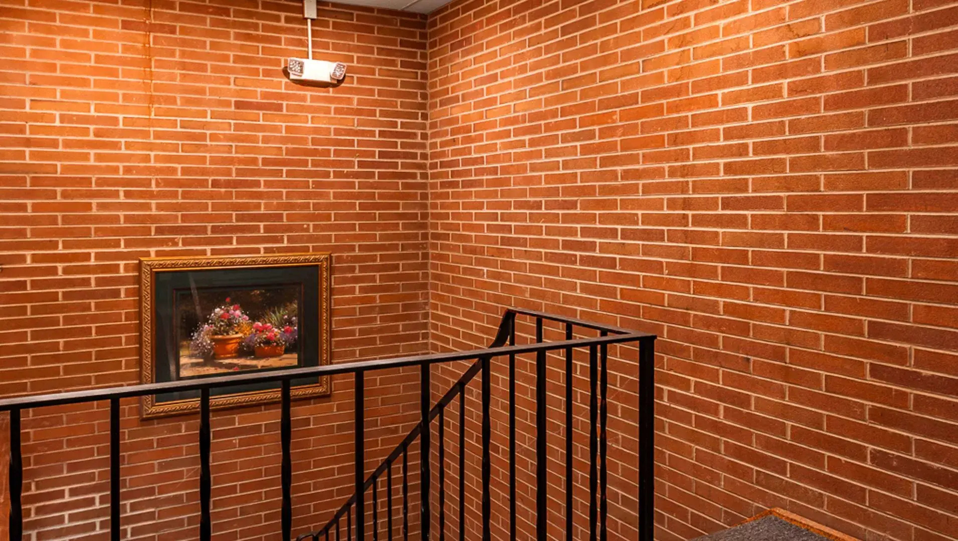 M Star North Canton - Hall of Fame