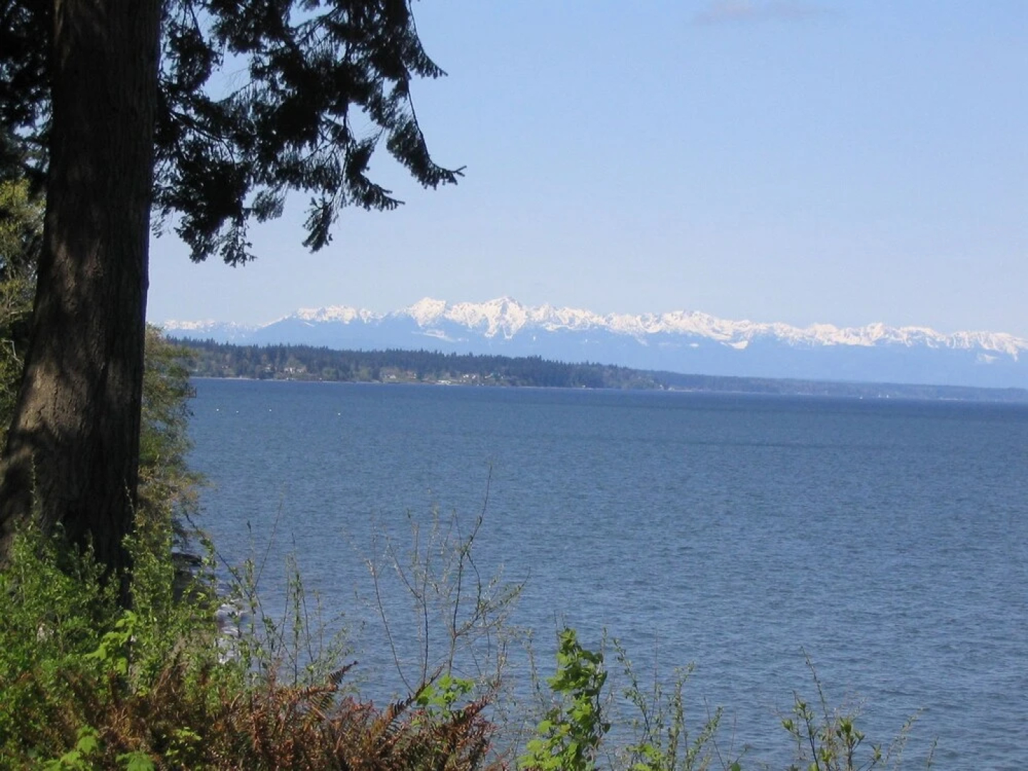 The Inn at Mallard Cove