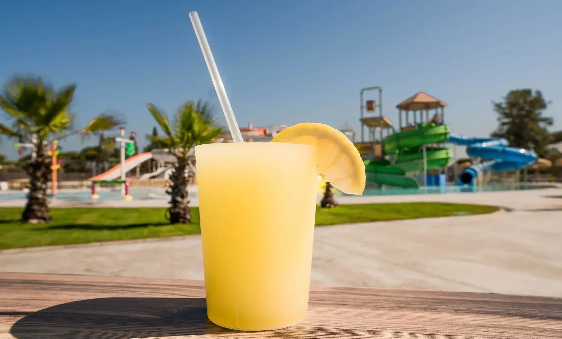 ALEGRIA Costa Ballena