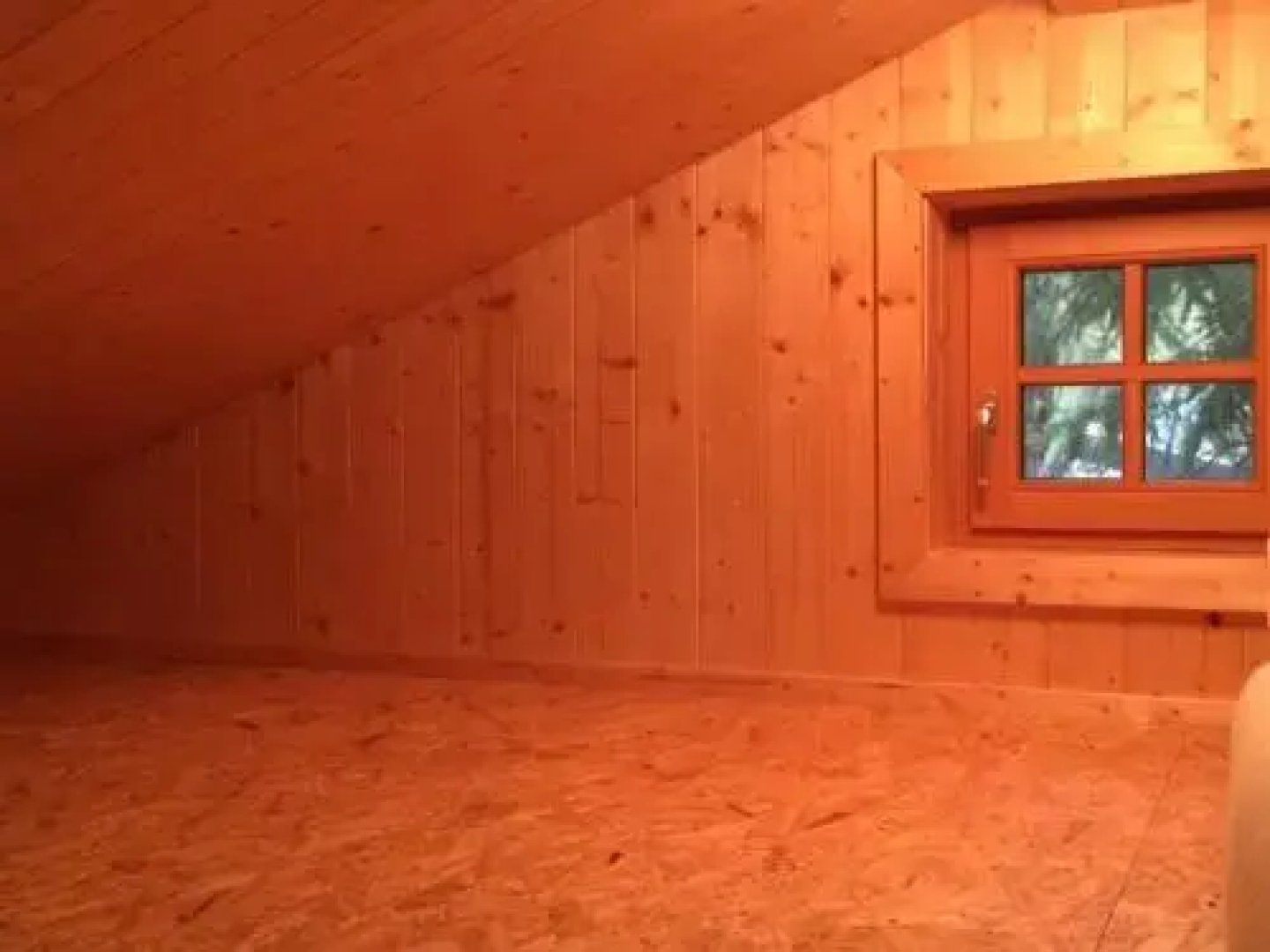 Schalale