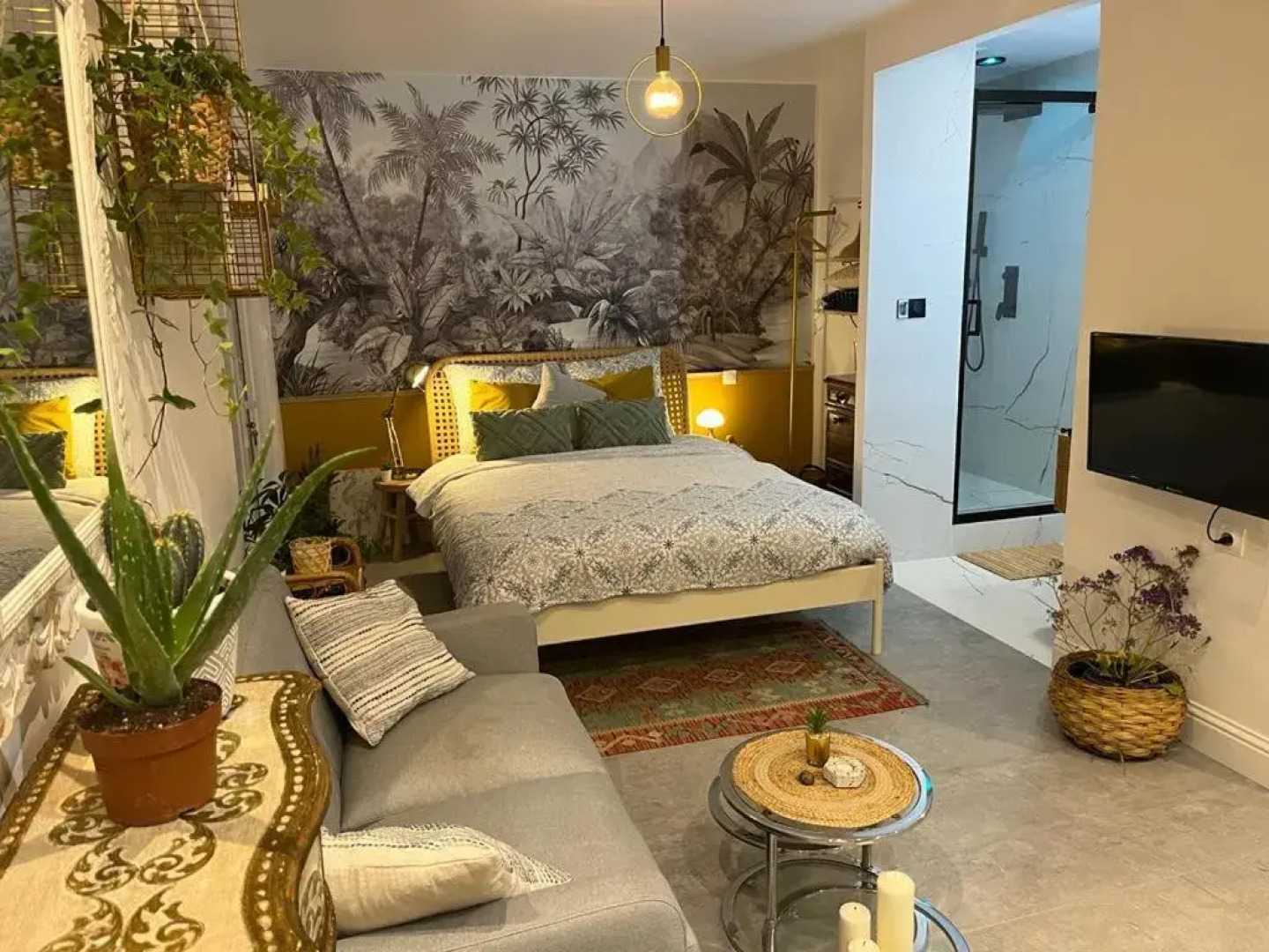 Superbe appartement avec jacuzzi avec jardin privé