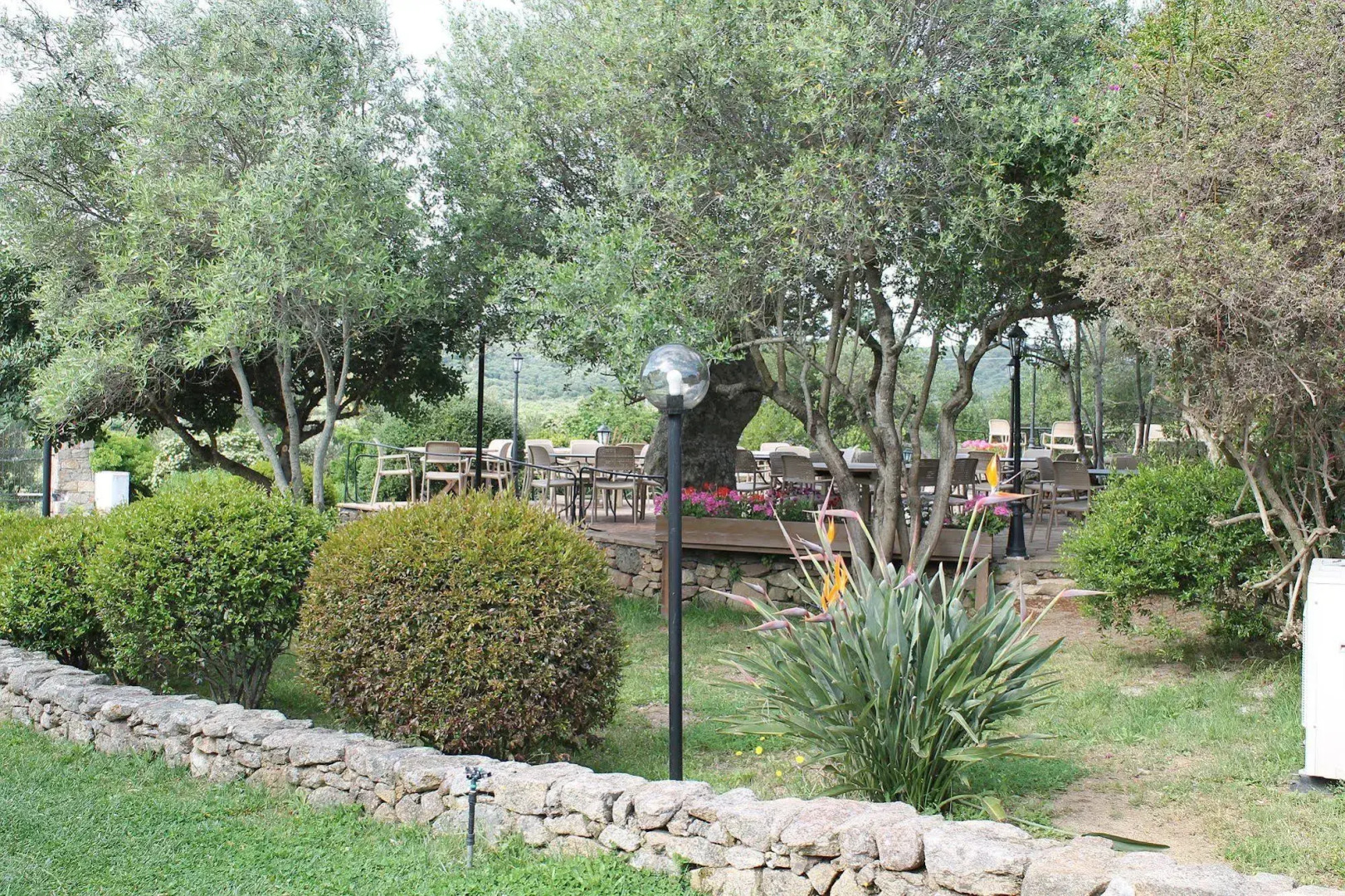 Jaddhu Country Resort