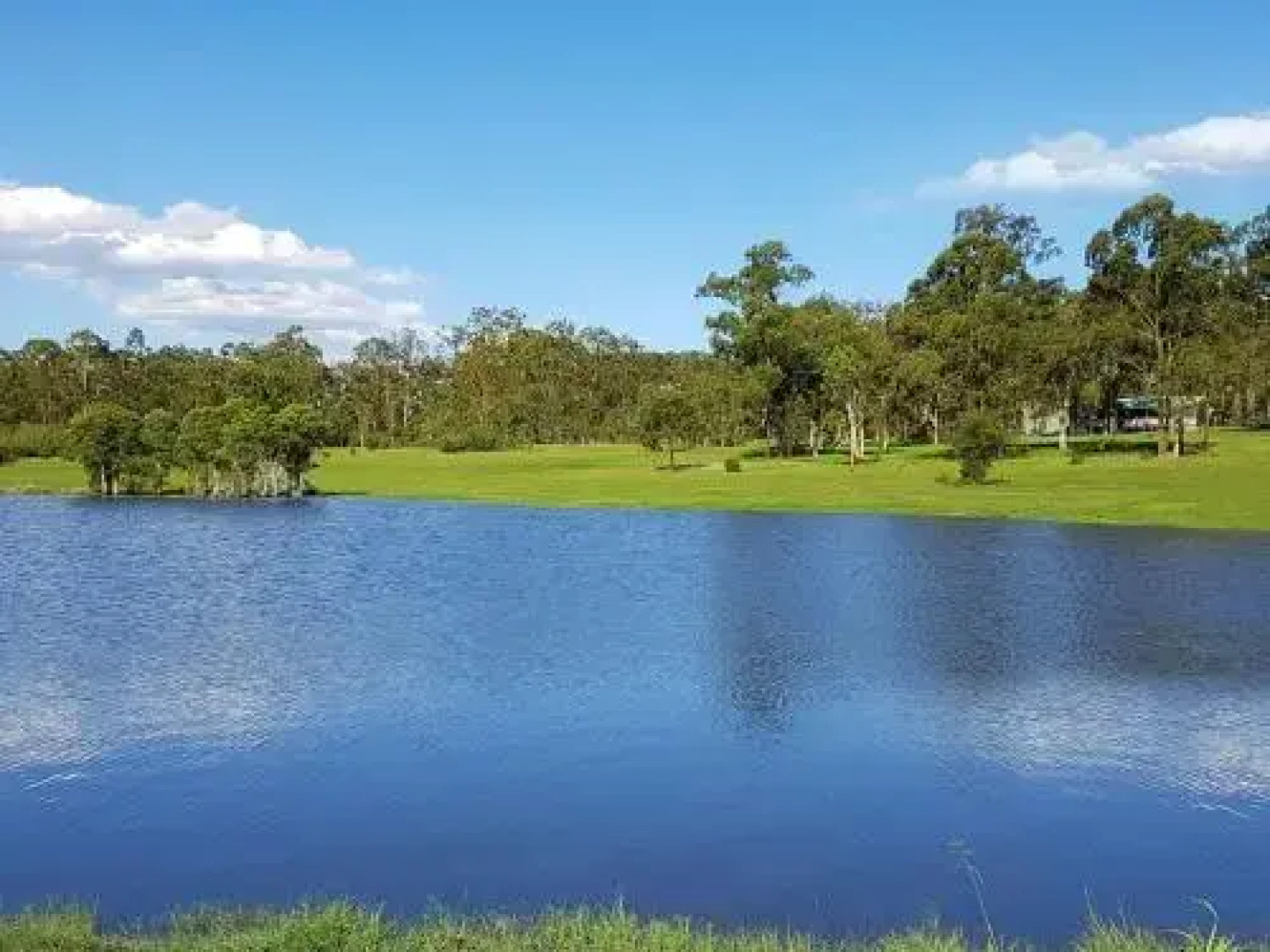 Kangaroo Cottage - cute Accom in bushland setting