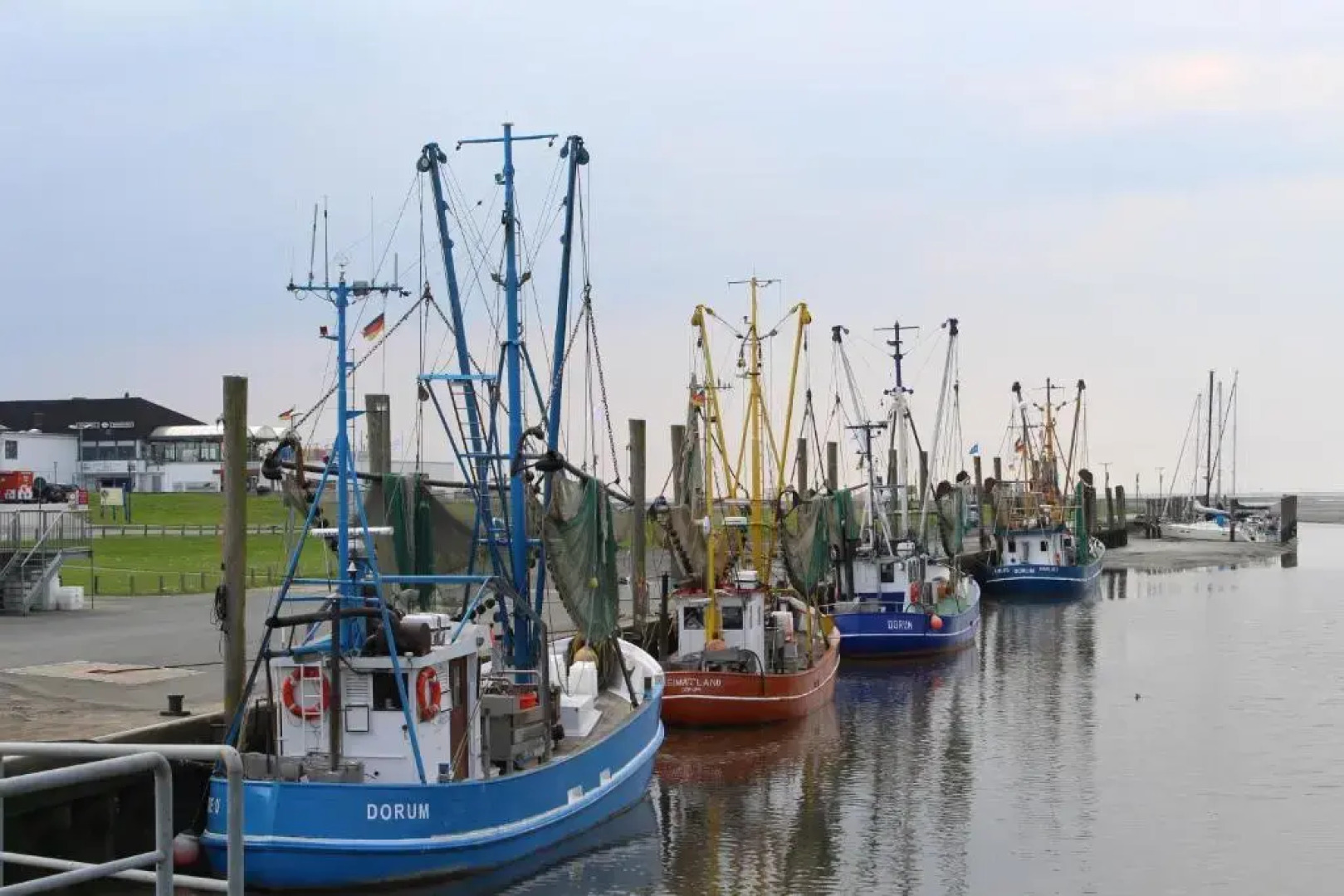 Ferienhaus Vogel - Dorum Neufeld - Nordsee