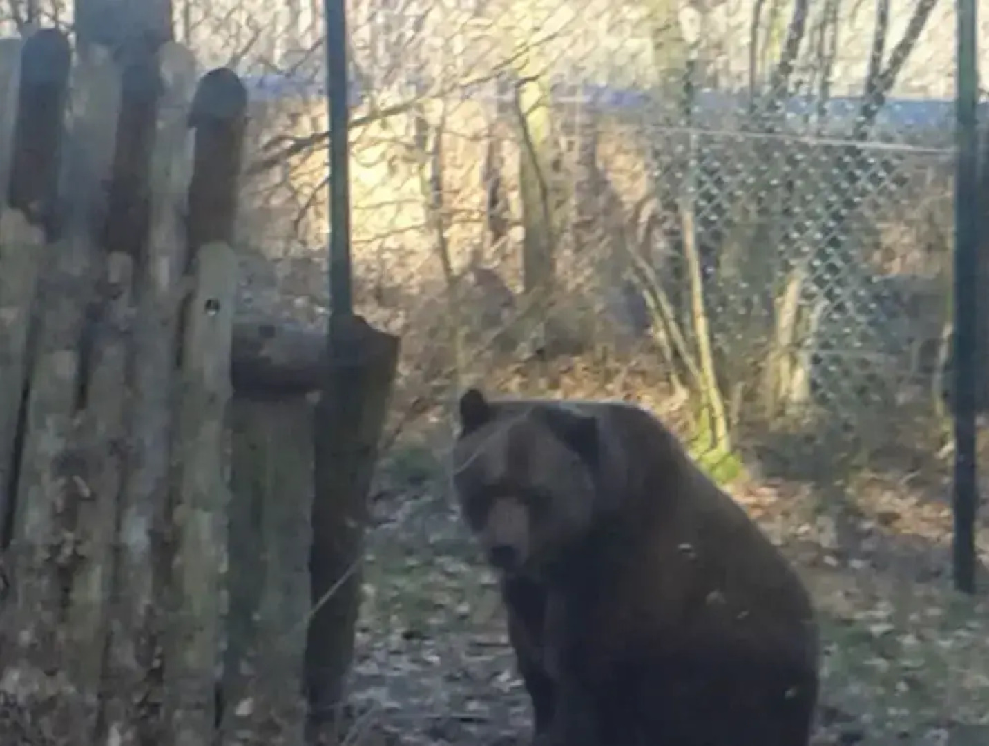 am Wald 2 Modern Retreat