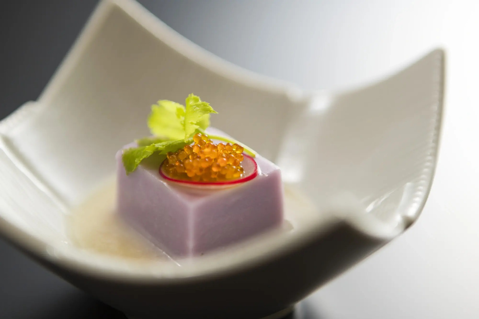 Japanese Onsen Ryokan KOHAKUEN