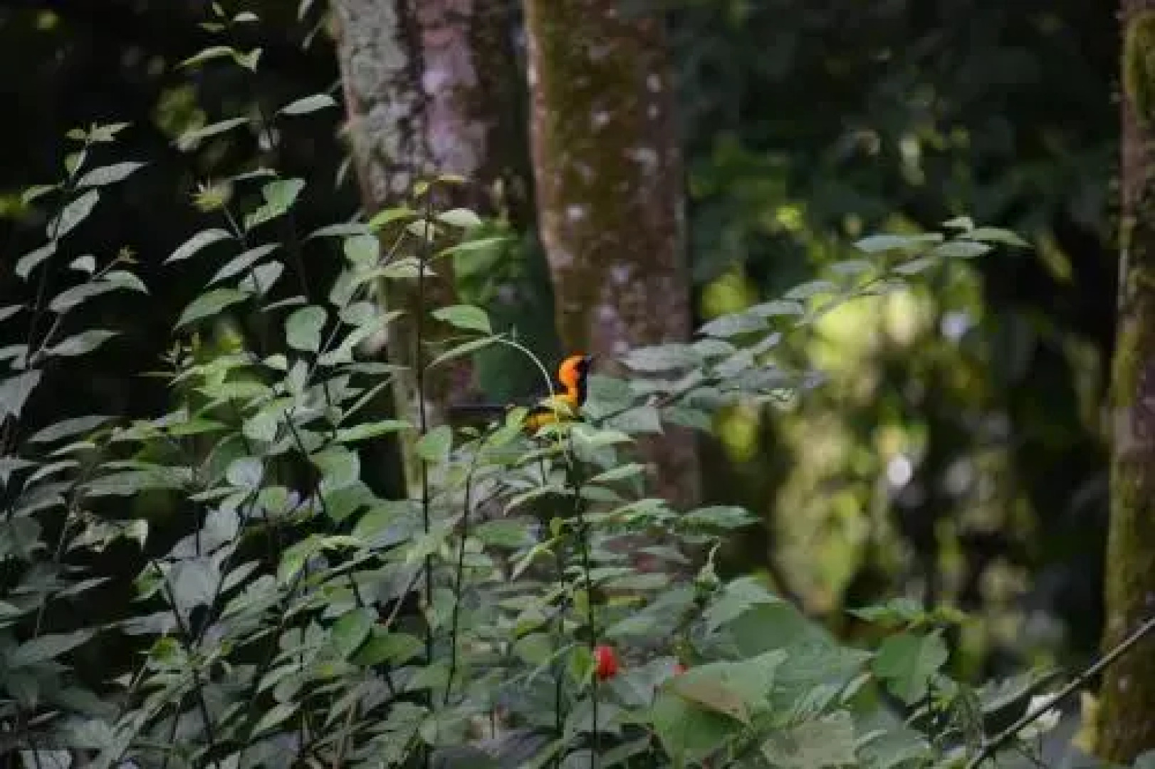 Reserva Natural Rancho Camaná