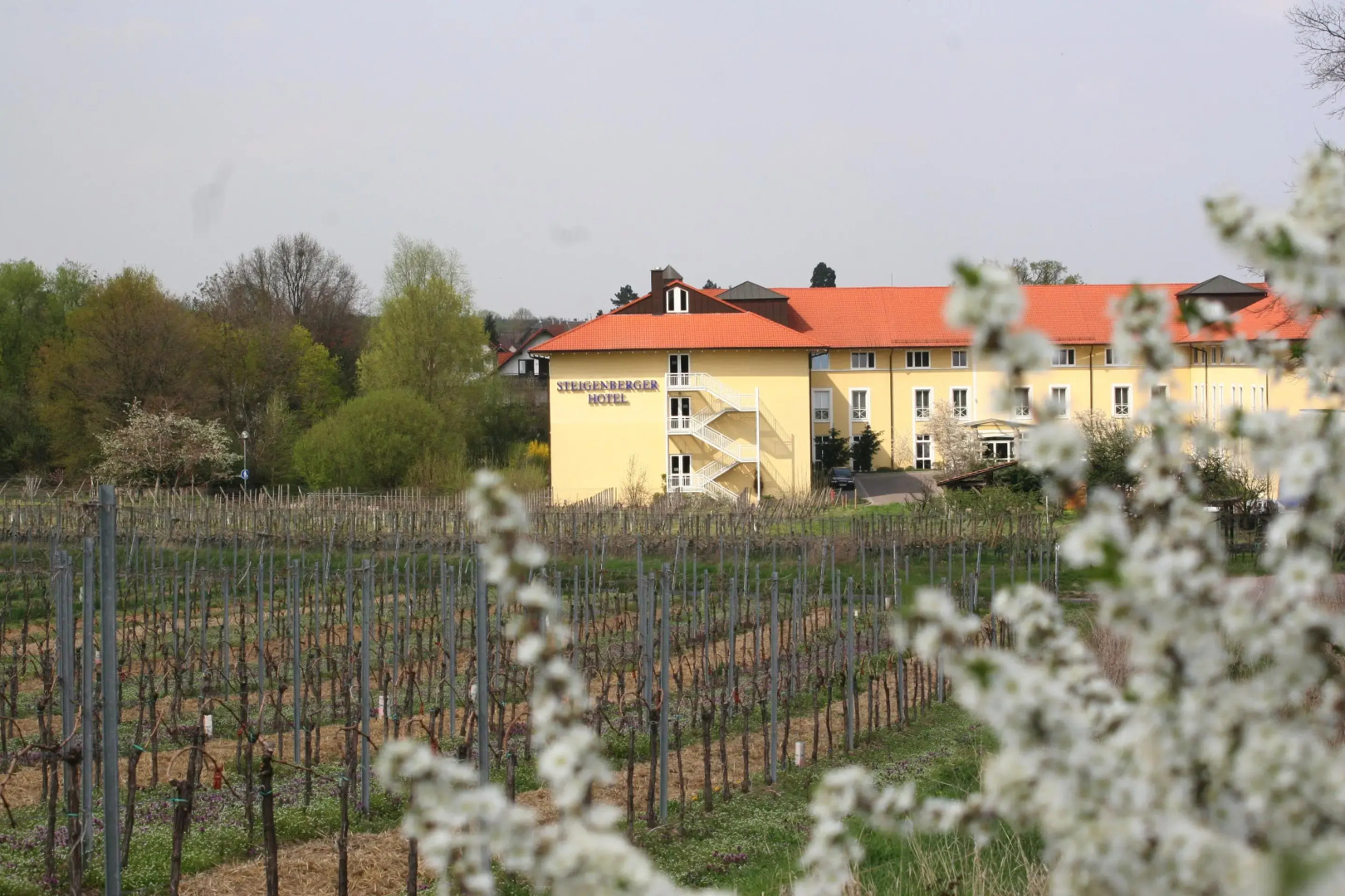 Steigenberger Hotel Deidesheim
