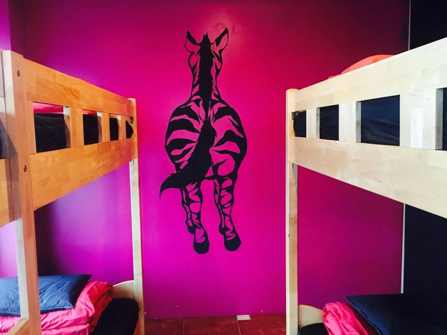 GN Guesthouse Coffeemarina - Hostel