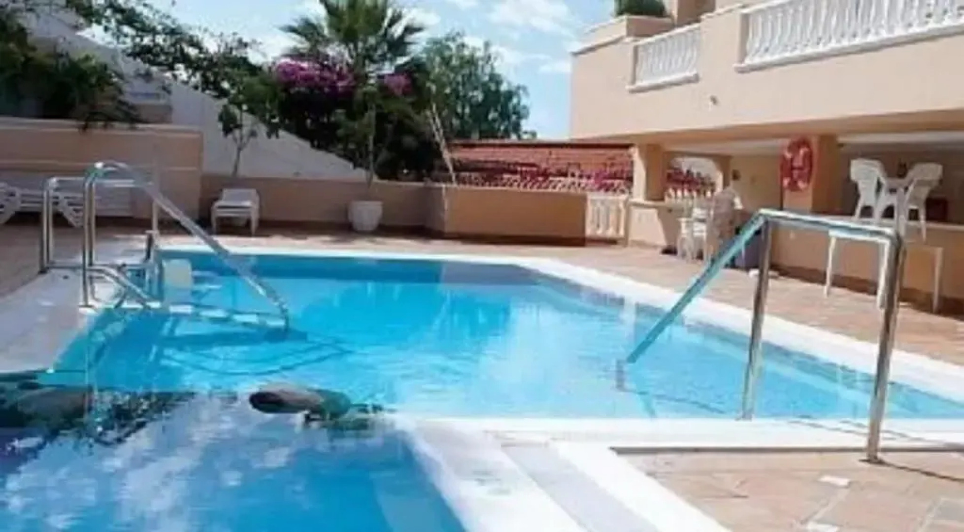 Apartment in Los Gigantes 100641