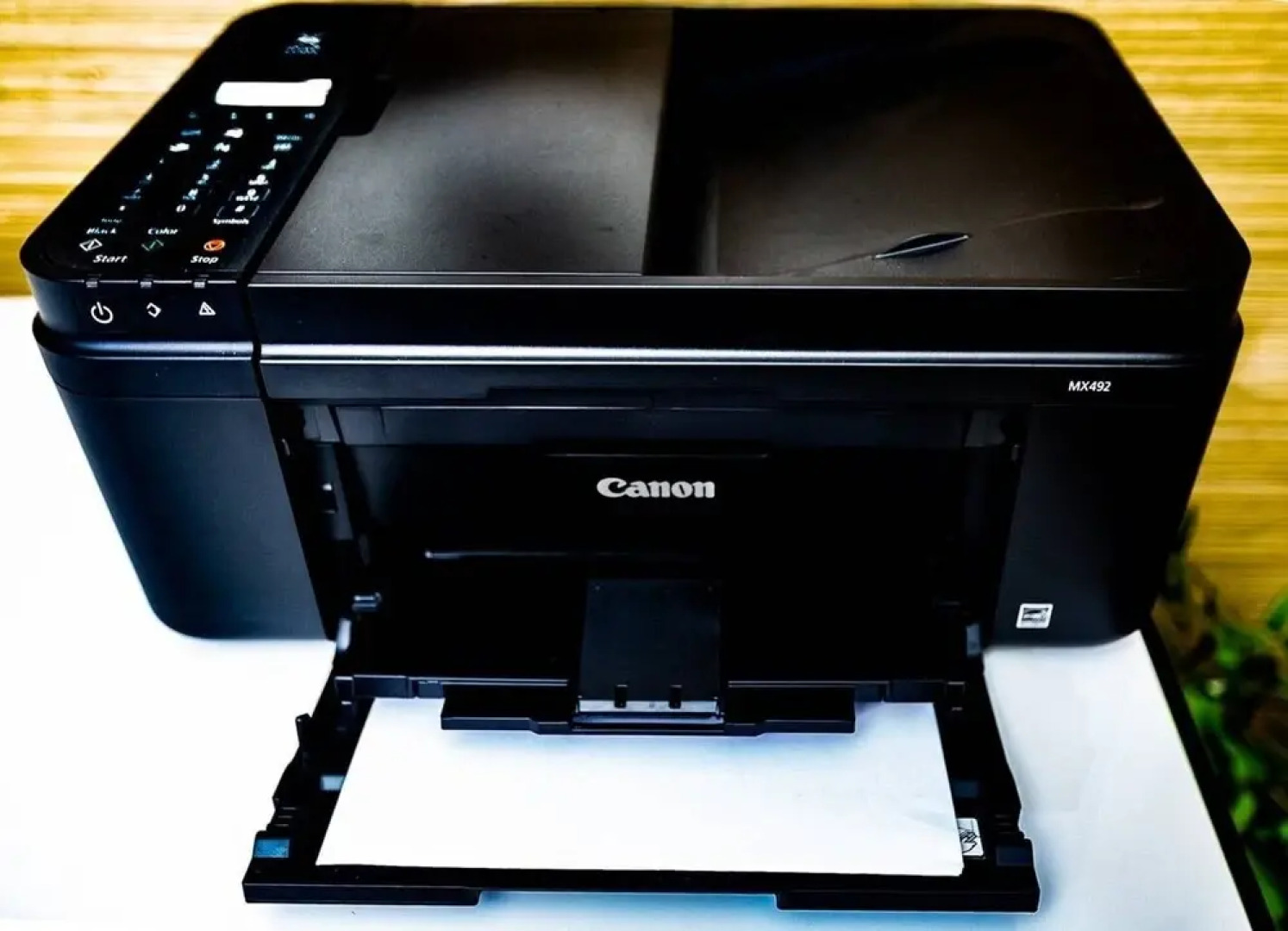 Zen Bungalow Great for Lunar New Year Tt Festival