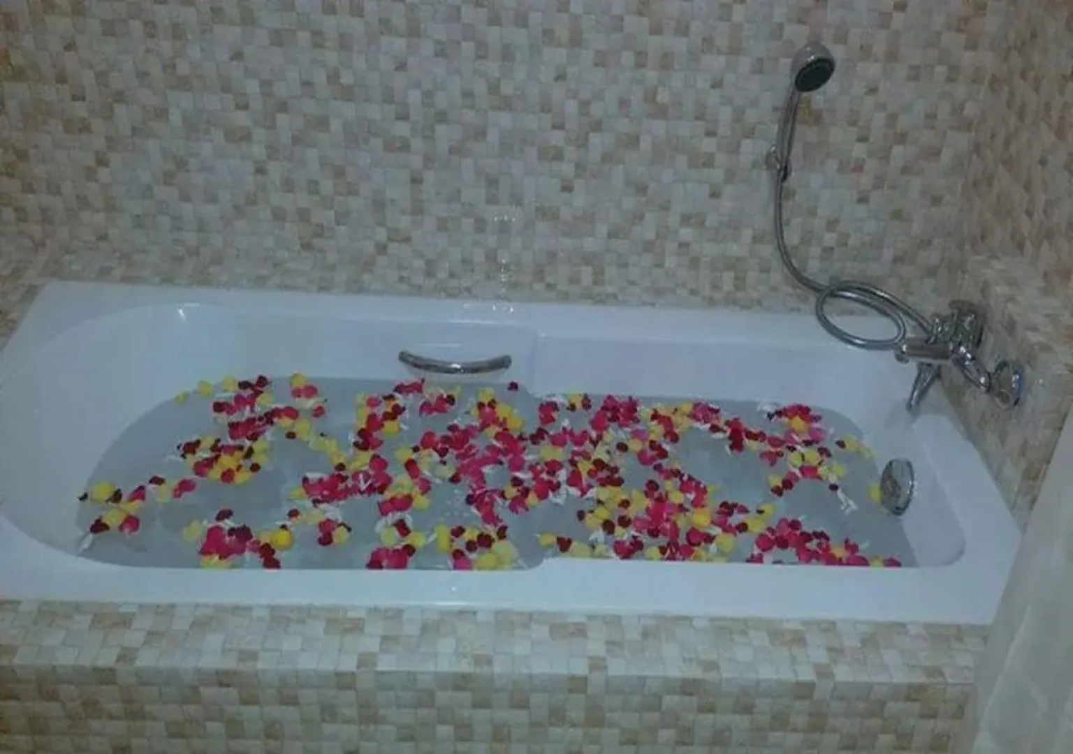 Hotel Bago
