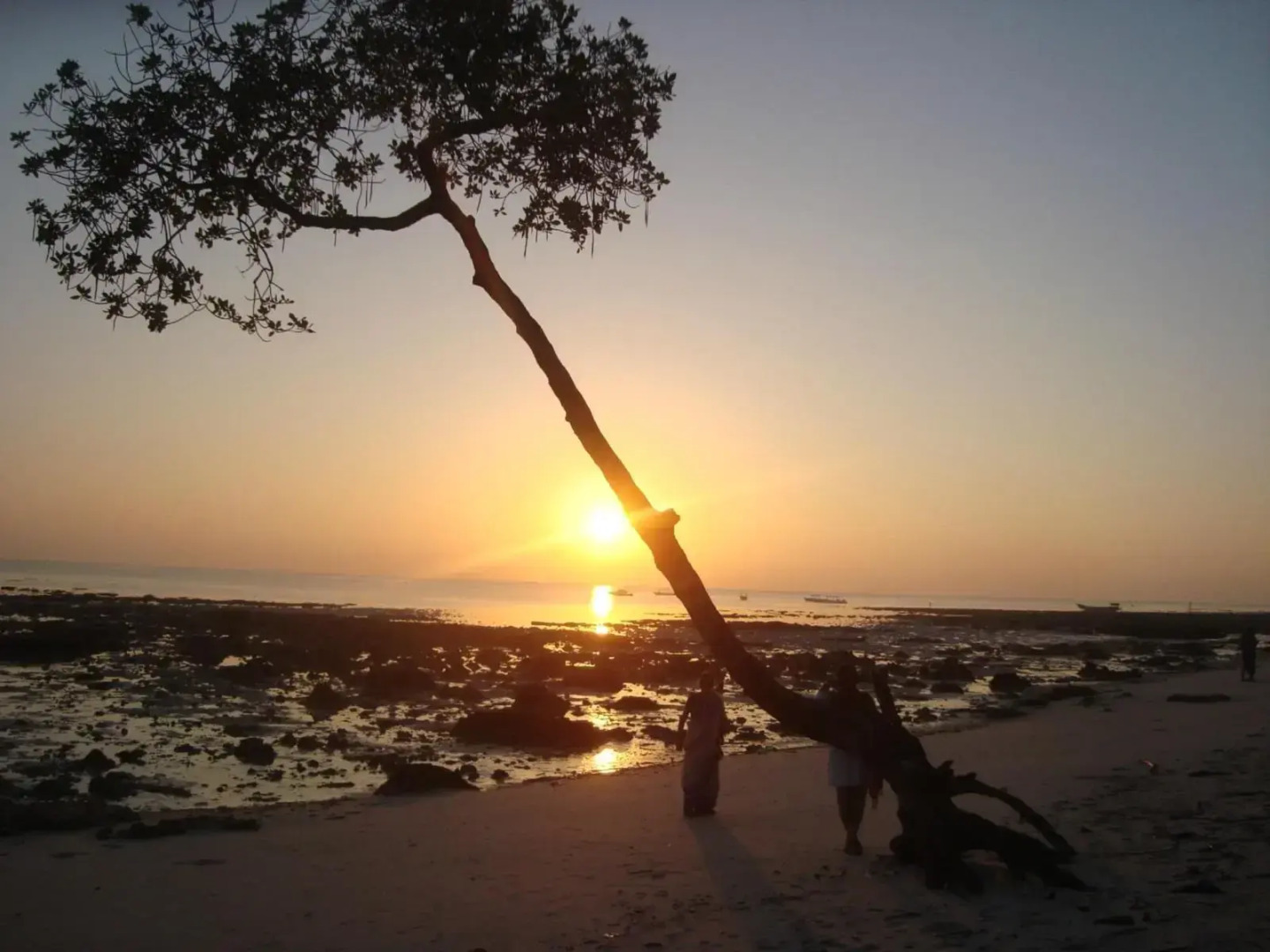 Cross Bill Beach Resort