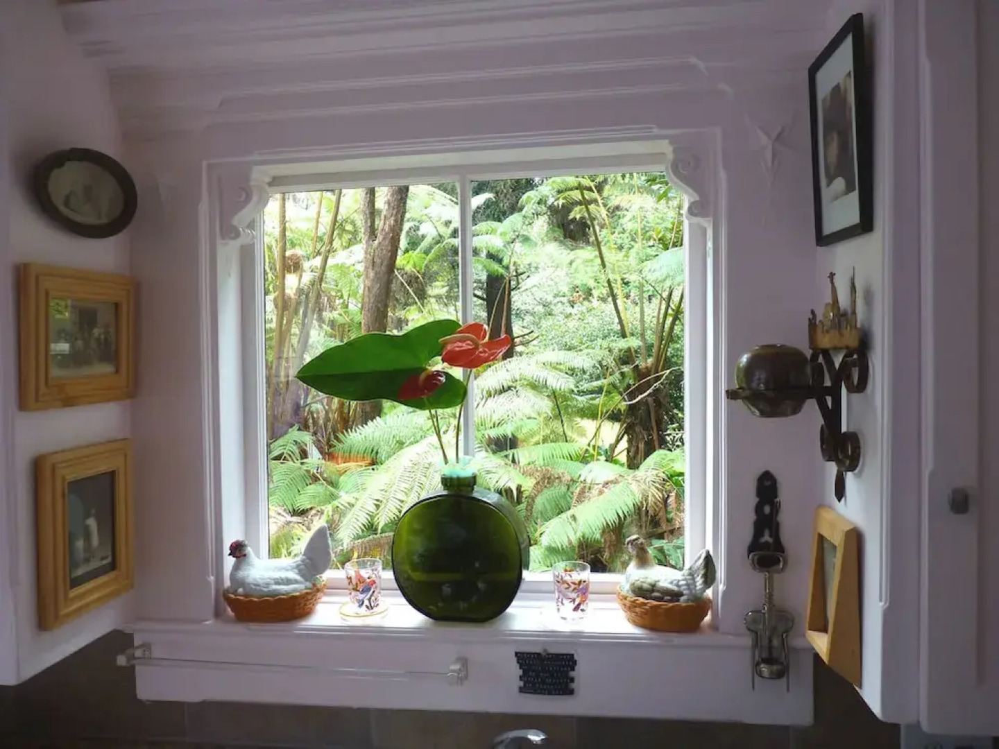 Upcountry Volcano Village Mountain Cottage